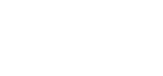 Igor Welder